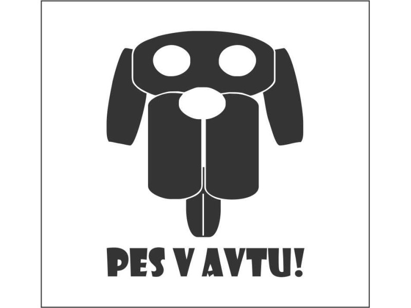 PES V AVTU