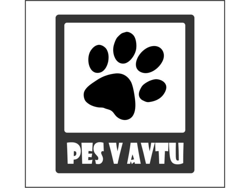 PES V AVTU